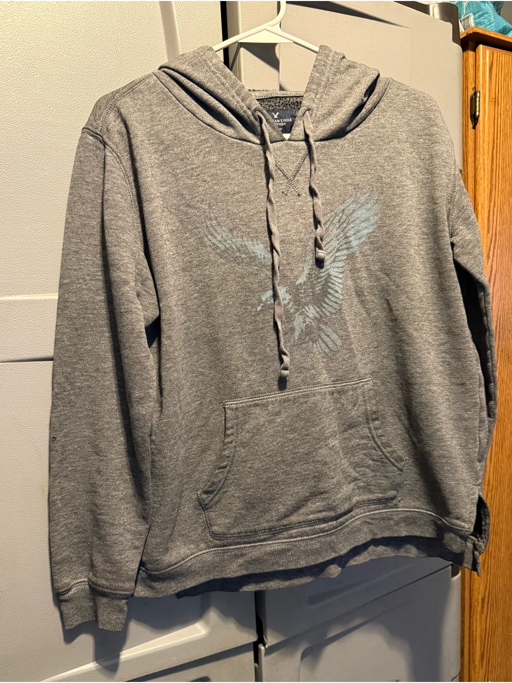 American Eagle Outfitters Gray Women's Hooded Sweatshirt with Eagle Graphic